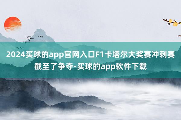 2024买球的app官网入口F1卡塔尔大奖赛冲刺赛截至了争夺-买球的app软件下载