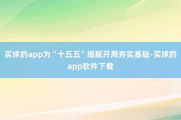 买球的app为“十五五”细腻开局夯实基础-买球的app软件下载