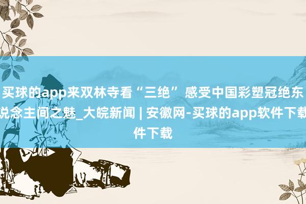 买球的app来双林寺看“三绝” 感受中国彩塑冠绝东说念主间之魅_大皖新闻 | 安徽网-买球的app软件下载