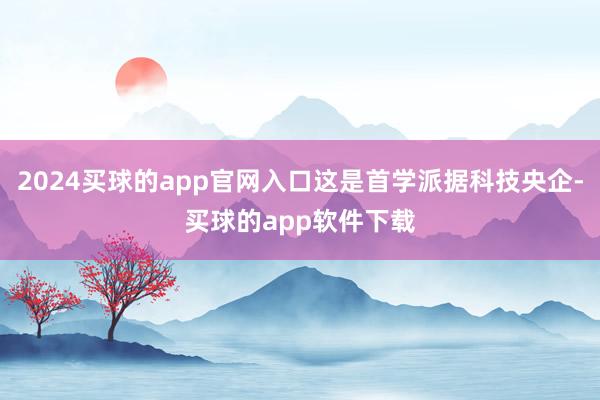 2024买球的app官网入口这是首学派据科技央企-买球的app软件下载