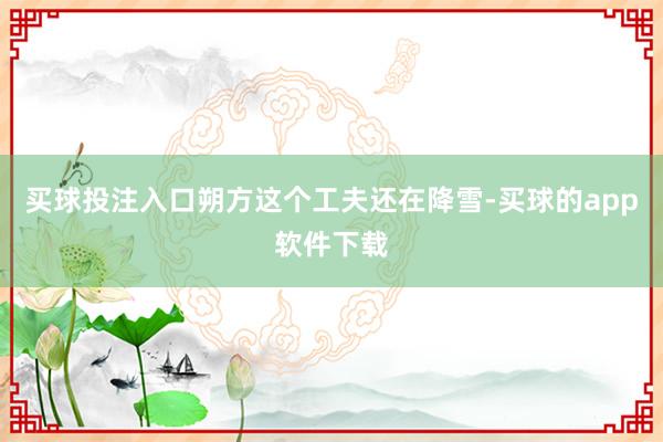 买球投注入口朔方这个工夫还在降雪-买球的app软件下载