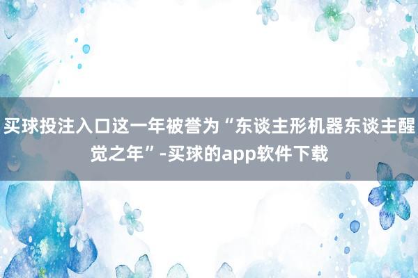 买球投注入口这一年被誉为“东谈主形机器东谈主醒觉之年”-买球的app软件下载