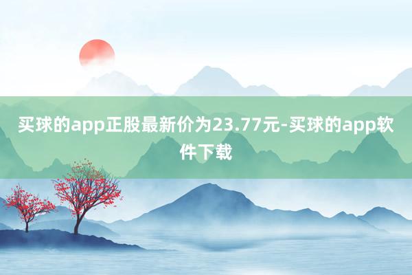 买球的app正股最新价为23.77元-买球的app软件下载