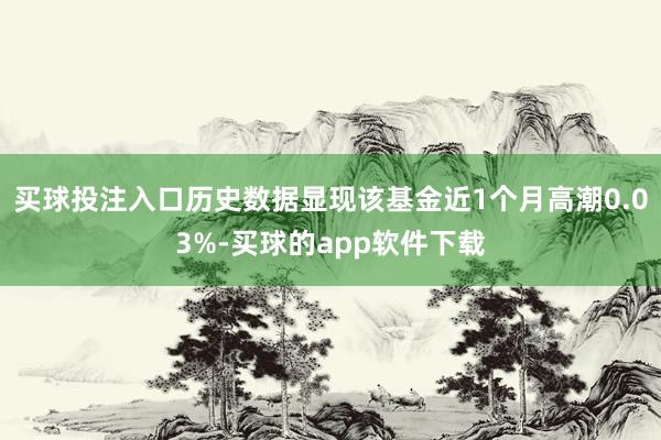买球投注入口历史数据显现该基金近1个月高潮0.03%-买球的app软件下载