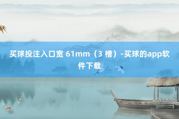 买球投注入口宽 61mm（3 槽）-买球的app软件下载