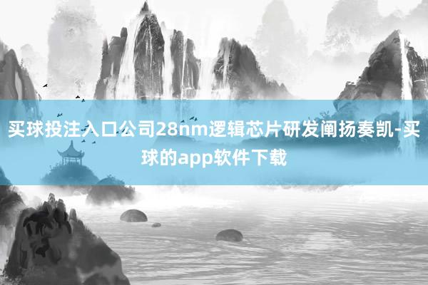 买球投注入口公司28nm逻辑芯片研发阐扬奏凯-买球的app软件下载