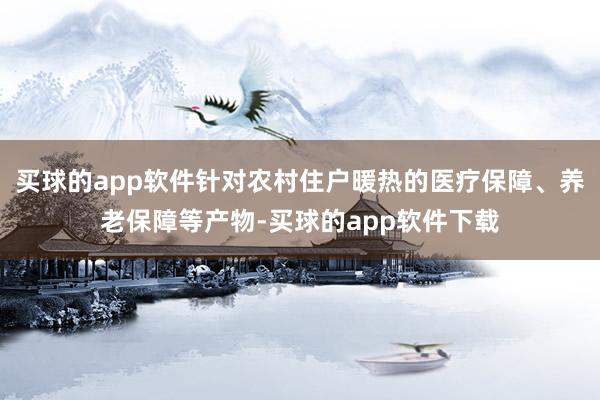 买球的app软件针对农村住户暖热的医疗保障、养老保障等产物-买球的app软件下载