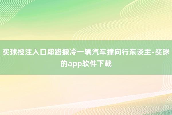 买球投注入口耶路撒冷一辆汽车撞向行东谈主-买球的app软件下载