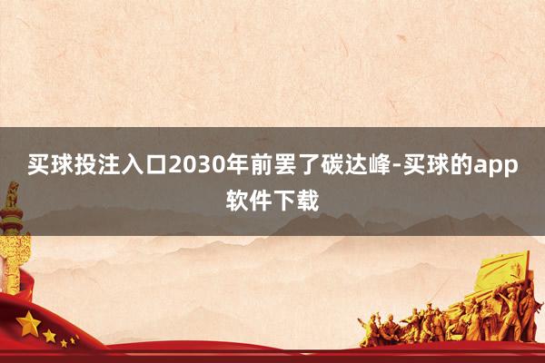 买球投注入口2030年前罢了碳达峰-买球的app软件下载