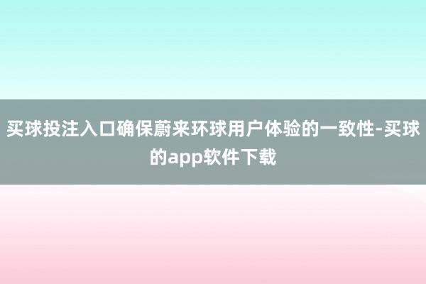 买球投注入口确保蔚来环球用户体验的一致性-买球的app软件下载