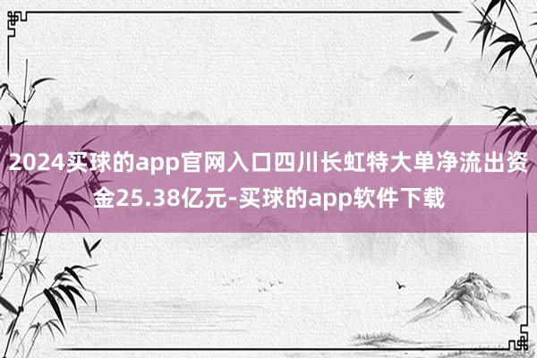 2024买球的app官网入口四川长虹特大单净流出资金25.38亿元-买球的app软件下载