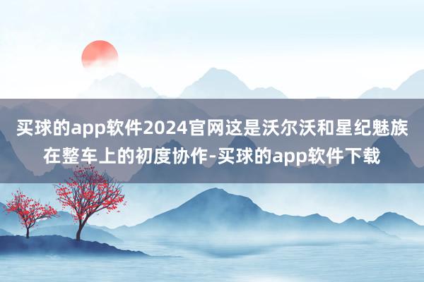 买球的app软件2024官网这是沃尔沃和星纪魅族在整车上的初度协作-买球的app软件下载