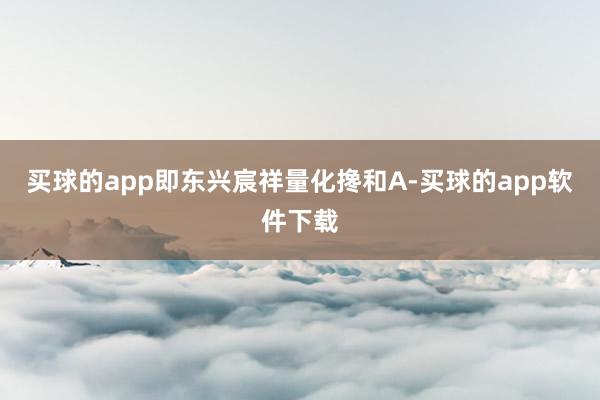 买球的app即东兴宸祥量化搀和A-买球的app软件下载