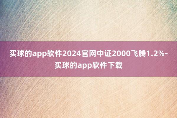 买球的app软件2024官网中证2000飞腾1.2%-买球的app软件下载