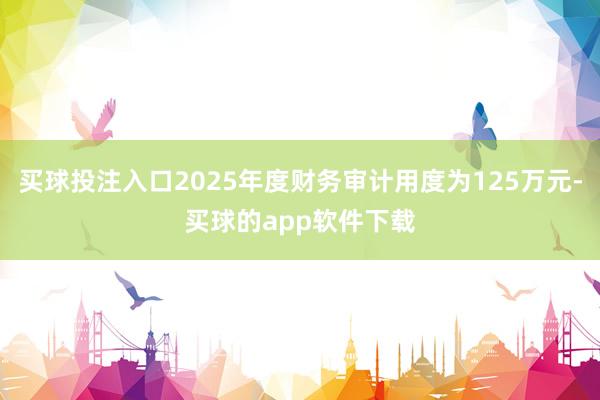 买球投注入口2025年度财务审计用度为125万元-买球的app软件下载