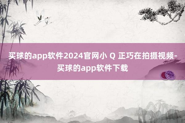 买球的app软件2024官网小 Q 正巧在拍摄视频-买球的app软件下载