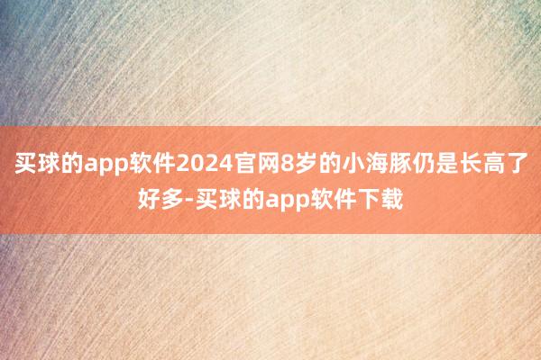 买球的app软件2024官网8岁的小海豚仍是长高了好多-买球的app软件下载