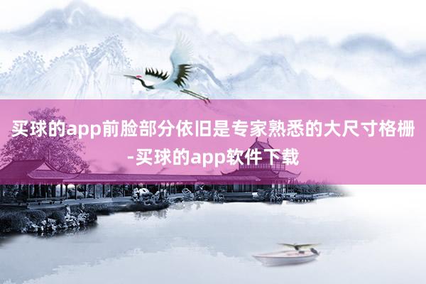 买球的app前脸部分依旧是专家熟悉的大尺寸格栅-买球的app软件下载