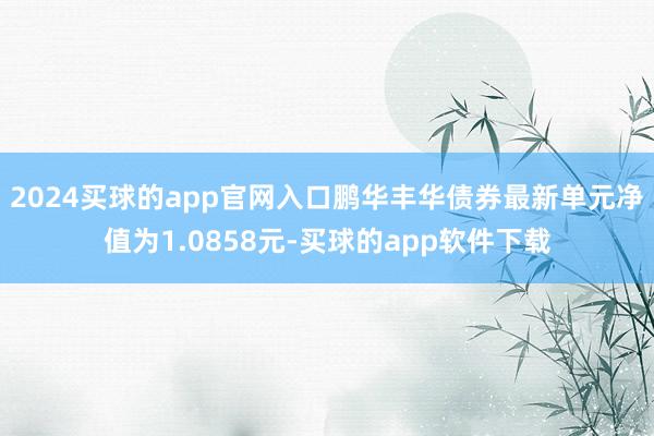 2024买球的app官网入口鹏华丰华债券最新单元净值为1.0858元-买球的app软件下载