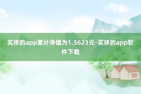 买球的app累计净值为1.5623元-买球的app软件下载