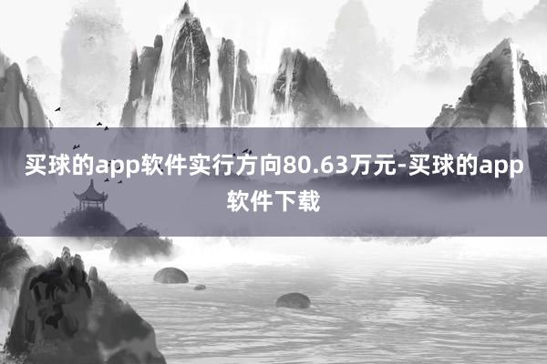 买球的app软件实行方向80.63万元-买球的app软件下载