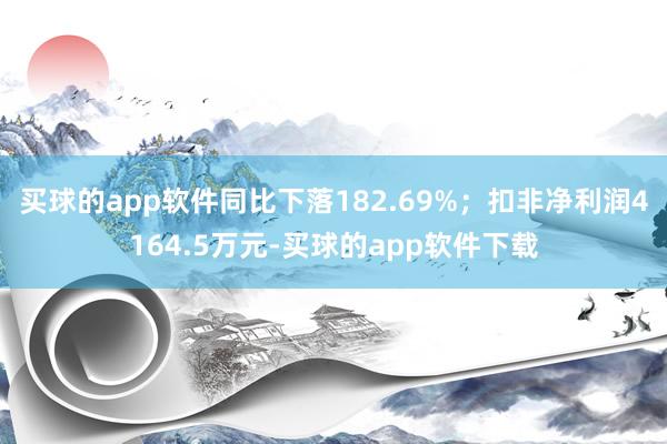 买球的app软件同比下落182.69%；扣非净利润4164.5万元-买球的app软件下载