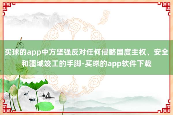 买球的app中方坚强反对任何侵略国度主权、安全和疆域竣工的手脚-买球的app软件下载