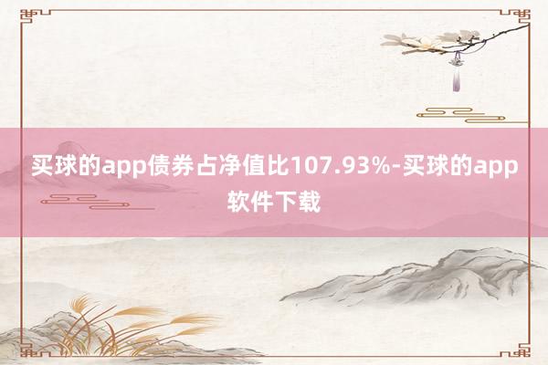 买球的app债券占净值比107.93%-买球的app软件下载