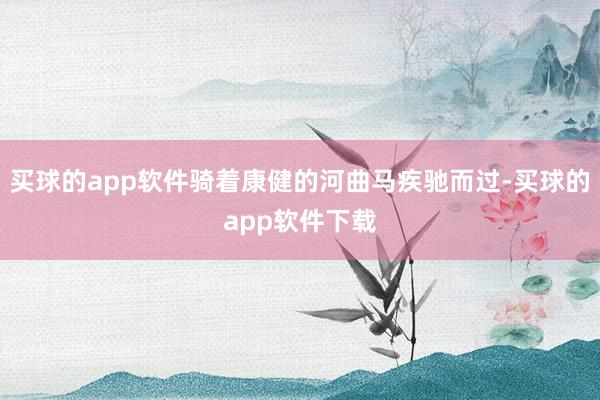 买球的app软件骑着康健的河曲马疾驰而过-买球的app软件下载