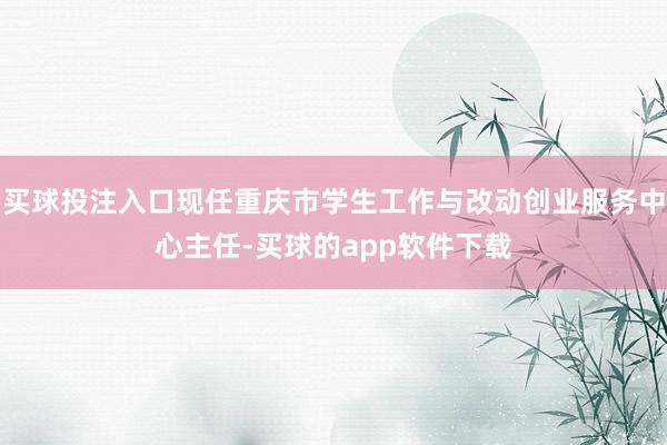 买球投注入口现任重庆市学生工作与改动创业服务中心主任-买球的app软件下载