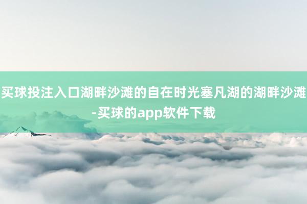 买球投注入口湖畔沙滩的自在时光塞凡湖的湖畔沙滩-买球的app软件下载