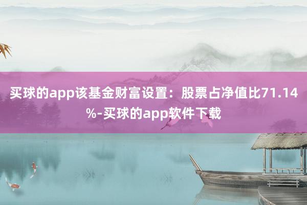 买球的app该基金财富设置：股票占净值比71.14%-买球的app软件下载