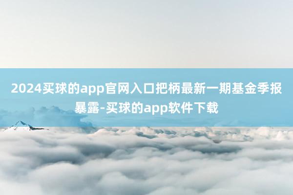 2024买球的app官网入口把柄最新一期基金季报暴露-买球的app软件下载