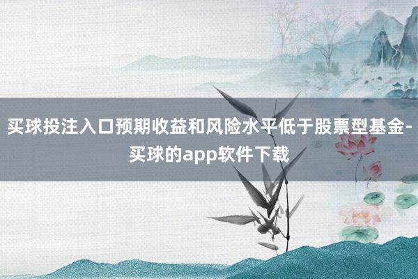 买球投注入口预期收益和风险水平低于股票型基金-买球的app软件下载