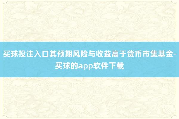 买球投注入口其预期风险与收益高于货币市集基金-买球的app软件下载