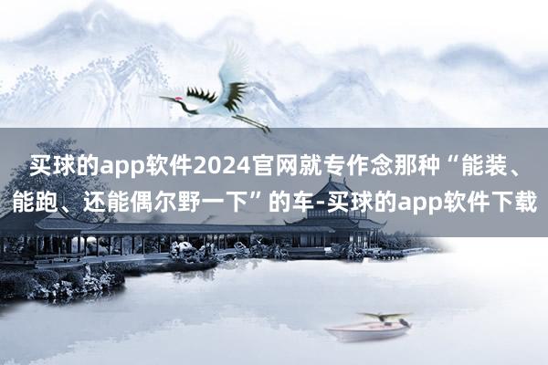 买球的app软件2024官网就专作念那种“能装、能跑、还能偶尔野一下”的车-买球的app软件下载